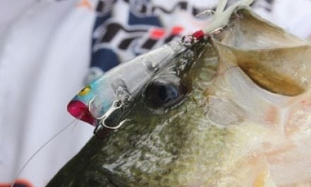 When To Go With Small Baits For Big Fish