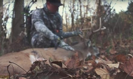 Whitetail Wednesday: 8 Online Whitetail Hunting Shows You Need to Follow This Deer Season
