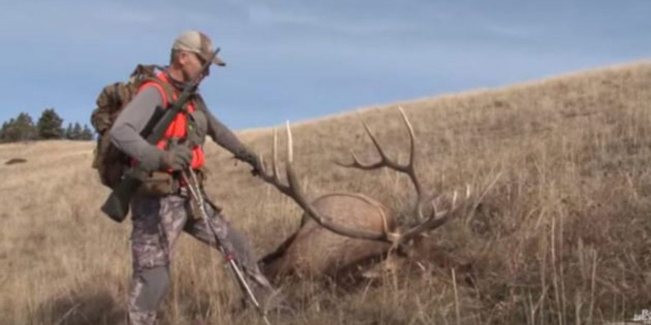 You Need to Watch These 10 Elk Hunting Videos Before the Season Starts
