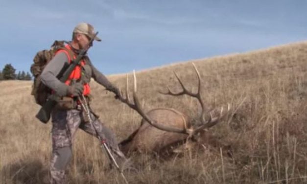 You Need to Watch These 10 Elk Hunting Videos Before the Season Starts
