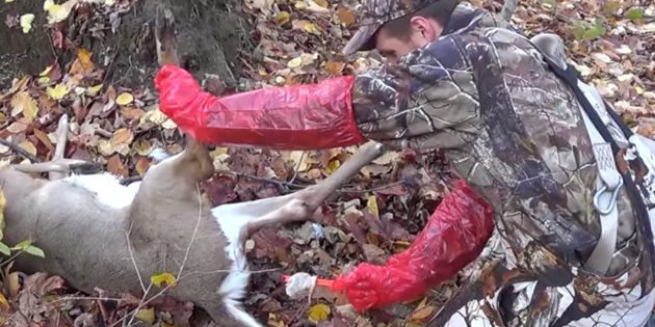 5 Disgustingly Awful Field Dressing and Skinning Fails