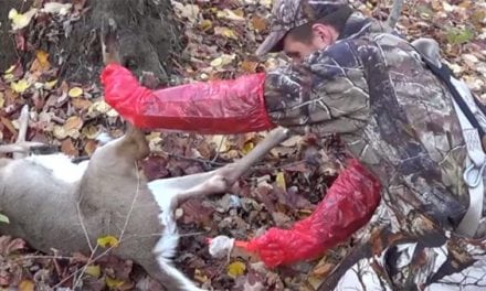 5 Disgustingly Awful Field Dressing and Skinning Fails