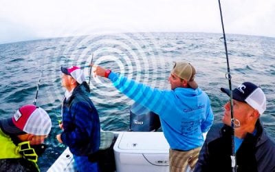 A Guides Perspective On Going Wireless