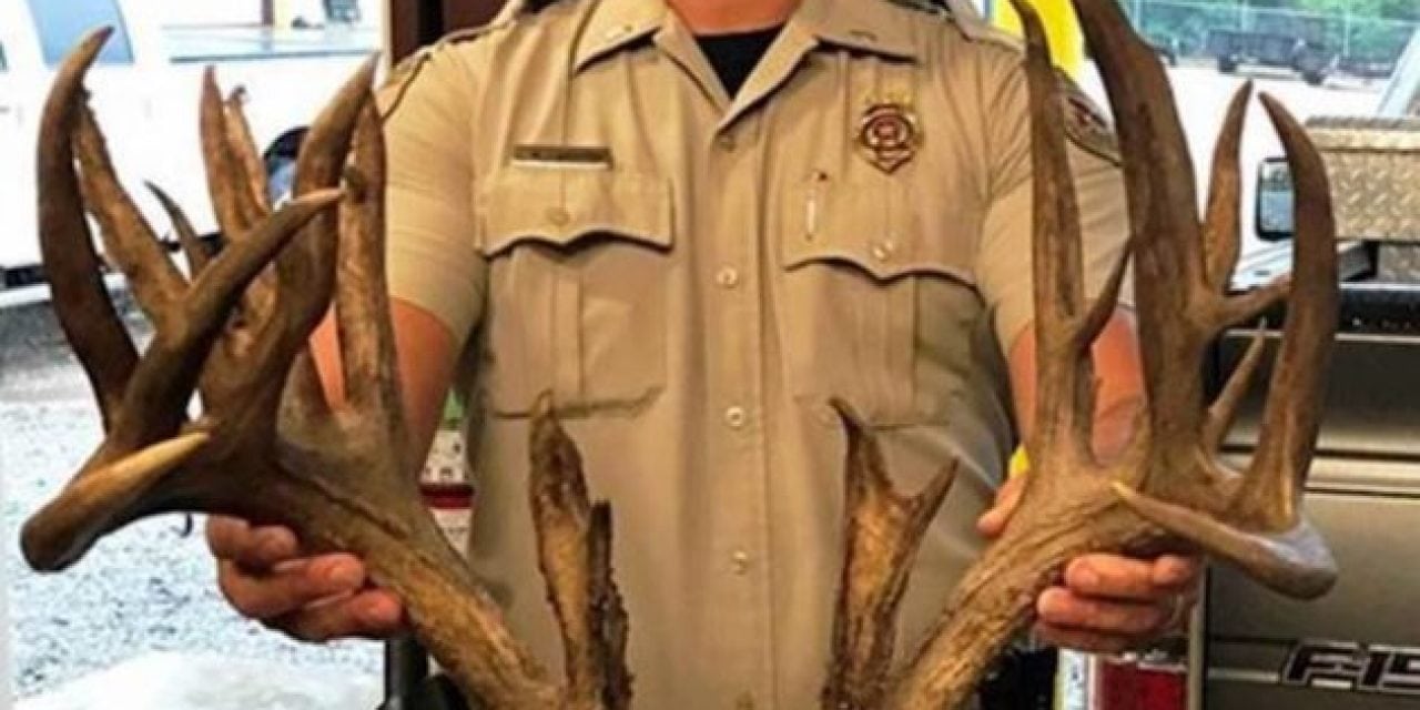 Absolute Trophy Buck Killed on the Highway in Oklahoma