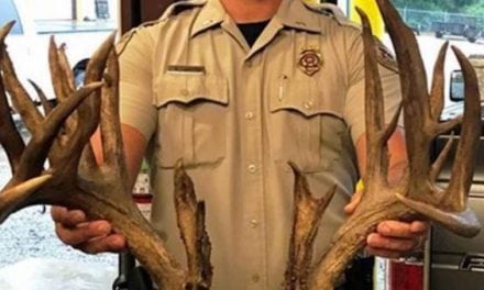Absolute Trophy Buck Killed on the Highway in Oklahoma