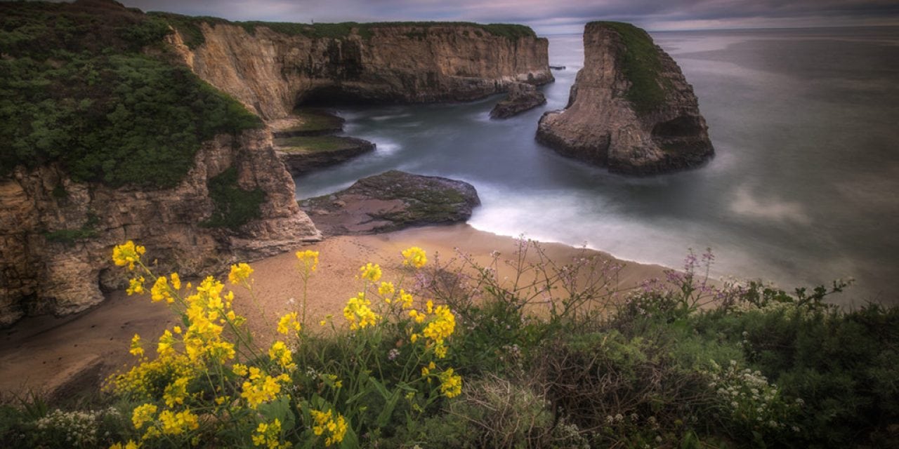 Beaches And Shorelines Assignment Winner Luiz Carlos Junior