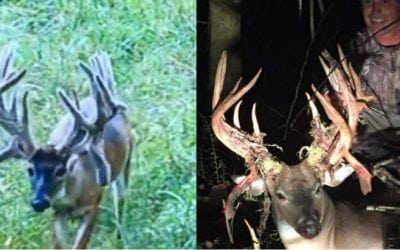 Big Buck Down: Louisiana Dentist Arrows Potential State Record Non-Typical Whitetail