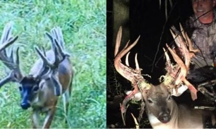 Big Buck Down: Louisiana Dentist Arrows Potential State Record Non-Typical Whitetail