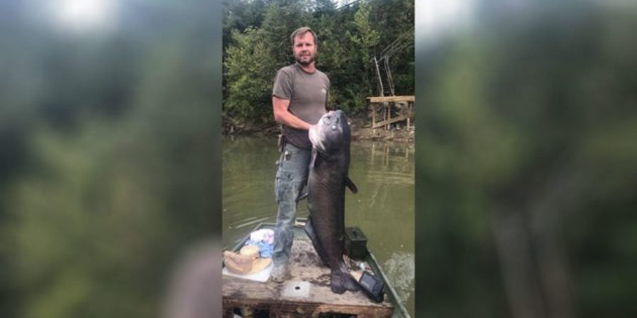 Blue Catfish Blows Georgia State Record Out of the Water