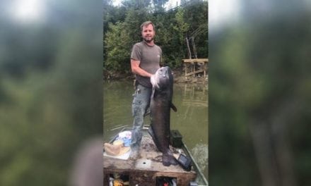 Blue Catfish Blows Georgia State Record Out of the Water