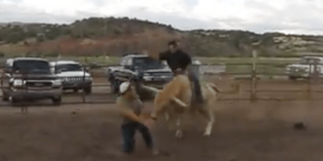 Bull Tramples Man Who Gets in His Way