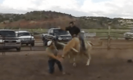 Bull Tramples Man Who Gets in His Way