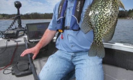 Cabbage Crappie Patterns