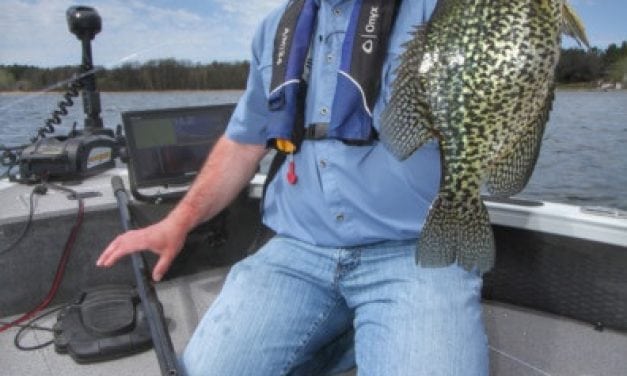 Cabbage Crappie Patterns