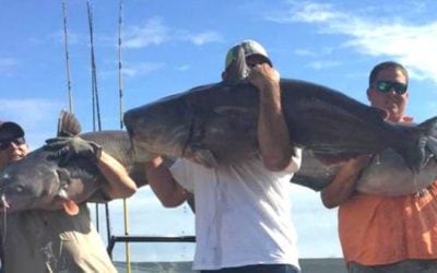 Catfish Tournament Smashes All-Time Weight Record