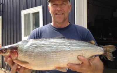 Check Out Michigan’s New State Record Cisco!