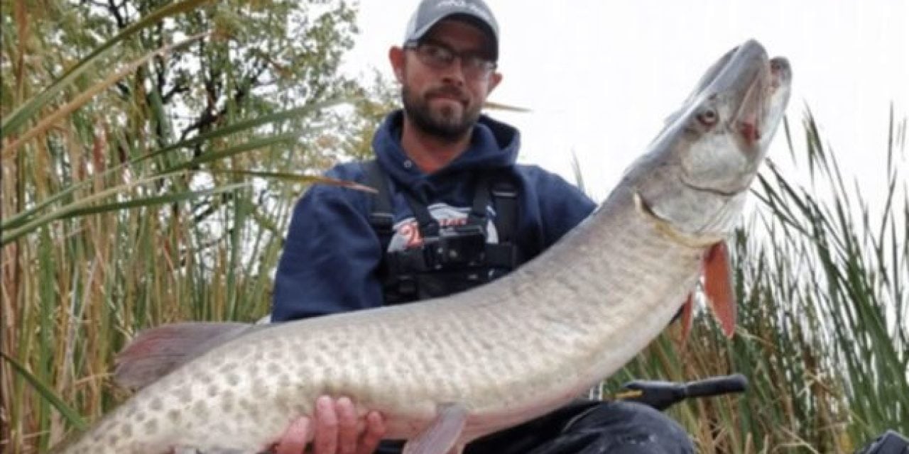 Crappie Angler Catches Big Musky on 6-Pound-Test Line and Ultralight Crappie Rod