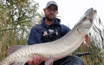 Crappie Angler Catches Big Musky on 6-Pound-Test Line and Ultralight Crappie Rod