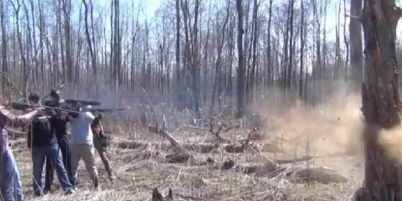 Cutting Down a Tree With Shotguns? ‘Merica!