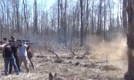 Cutting Down a Tree With Shotguns? ‘Merica!