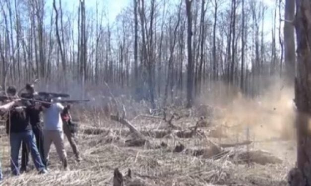 Cutting Down a Tree With Shotguns? ‘Merica!
