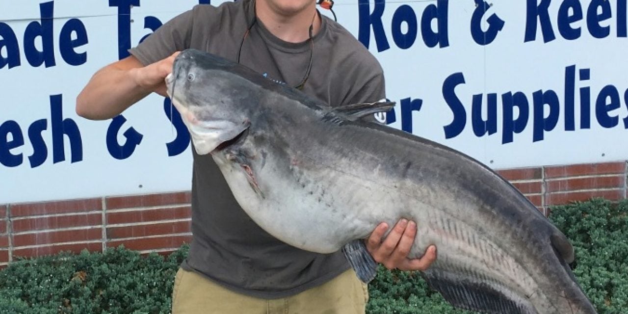 Delaware Records A Record Catfish