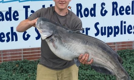 Delaware Records A Record Catfish