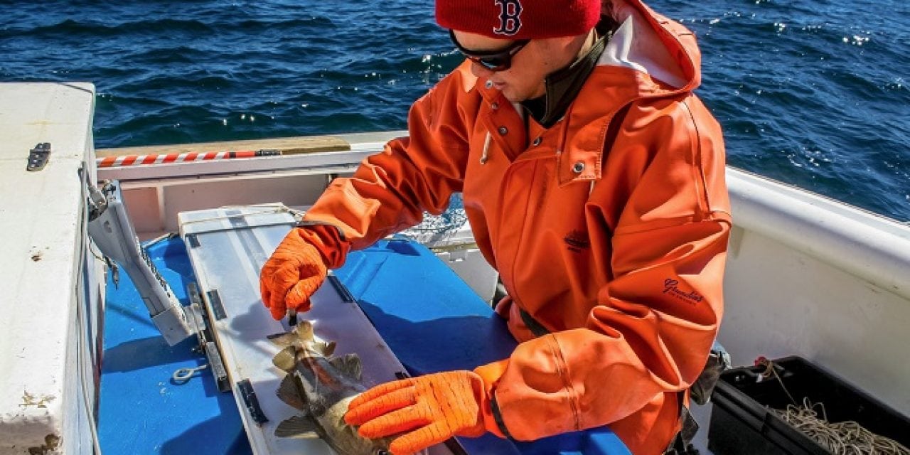 Fishing Industry, NEFSC Team Up for Gulf of Maine Commercial Longline Fishing Study