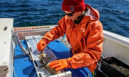 Fishing Industry, NEFSC Team Up for Gulf of Maine Commercial Longline Fishing Study