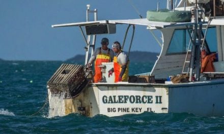 Florida Eases Regulations, Waives Some Fees, for Fishing Recovery Post-Irma