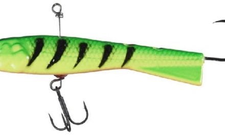 Freedom Tackle Turnback Shad A Icy Hit At ICAST