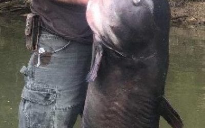 Georgia’s New State Record Blue Cat By 12 Pounds