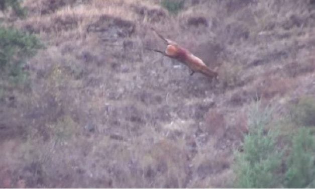 Get Ready for the Season with the Ultimate Kill Shot Mashup