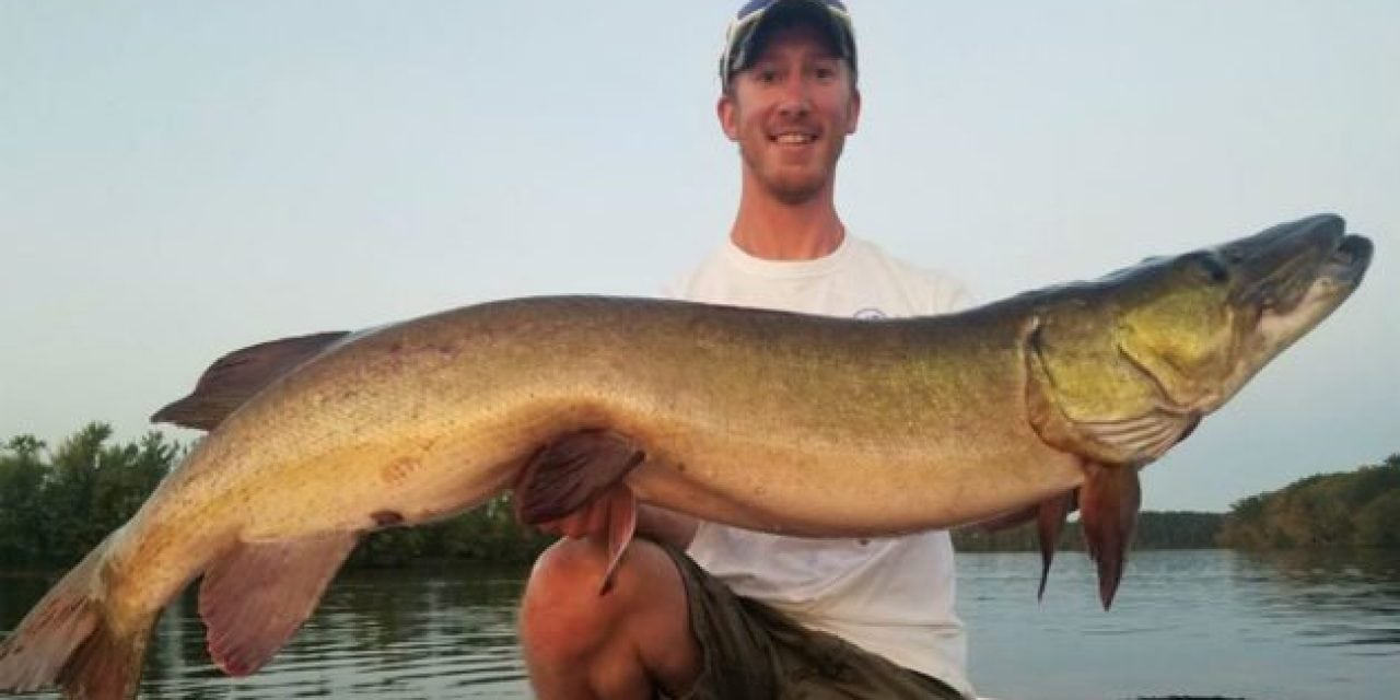 Giant Muskie Makes a Year of Effort Totally Worth It