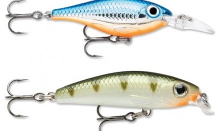 Go small for big success with ultra light lures