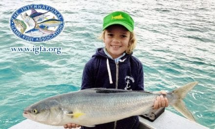 Great Catches From The IGFA From July!