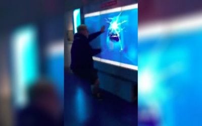 Great White Shark Prank Will Make You Fill Your Britches