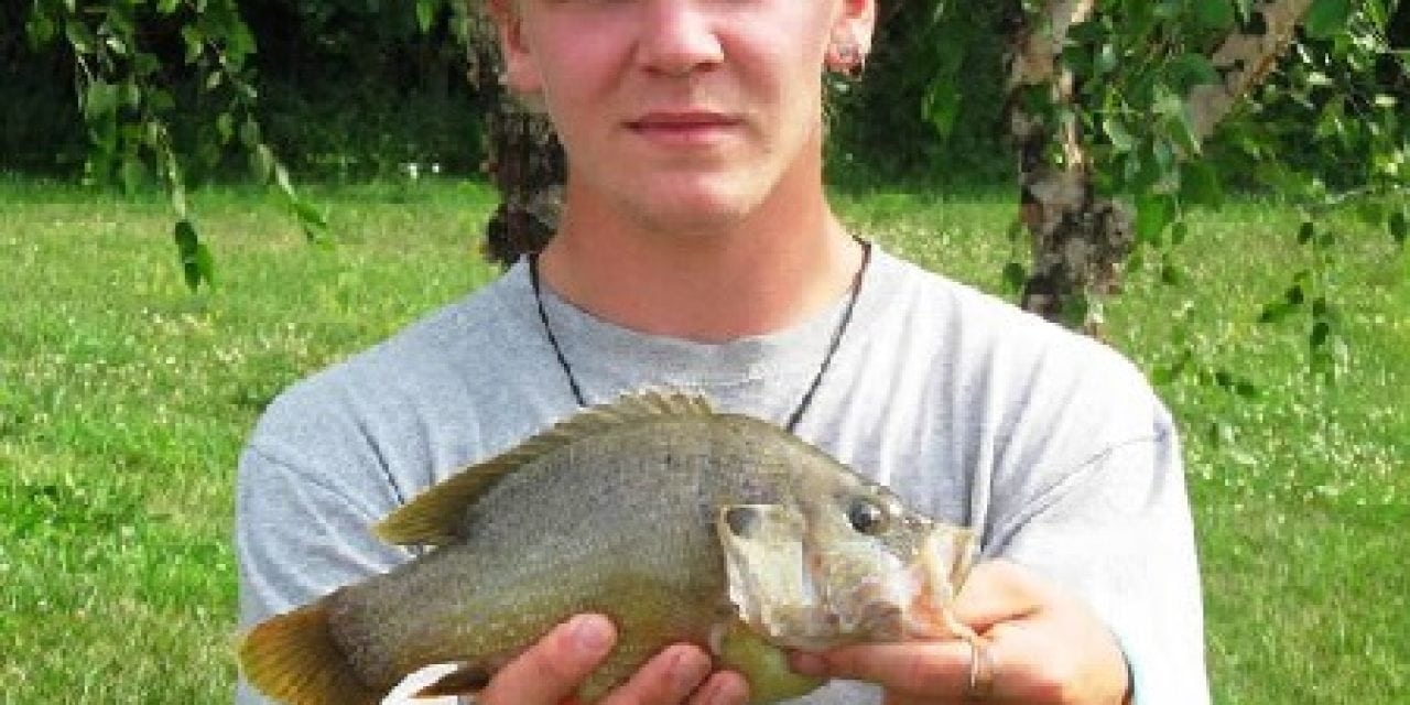 Greentop angler catches state-record green sunfish