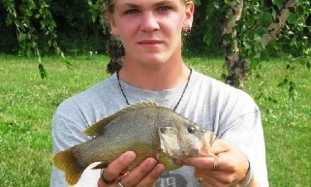 Greentop angler catches state-record green sunfish