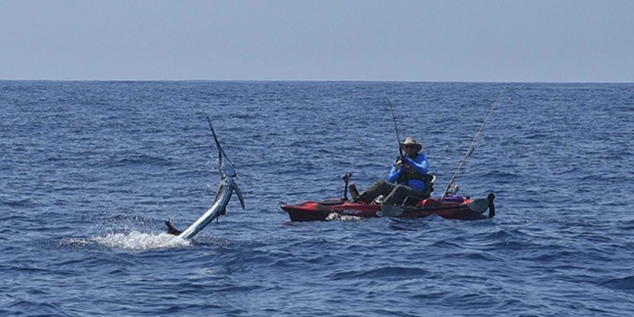 Guatemala Sailfish by Kayak