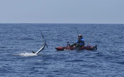 Guatemala Sailfish by Kayak