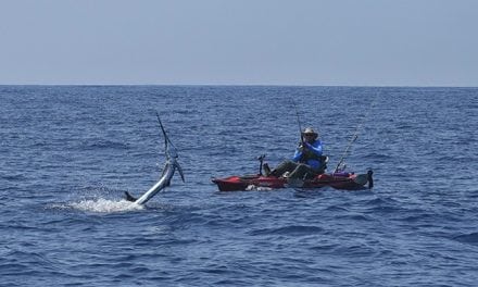 Guatemala Sailfish by Kayak