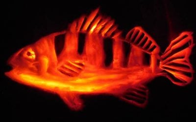 Happy Halloweeney, 2017