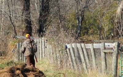 Hunting Ethics: Would You Shoot Across Property Lines if Nobody was Around?