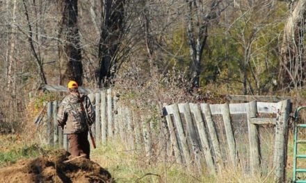 Hunting Ethics: Would You Shoot Across Property Lines if Nobody was Around?