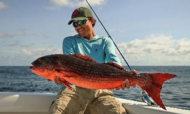 IGFA Hot Catches – June 15, 2017