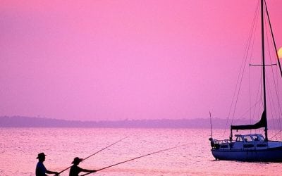 Industry-Led Effort Saves Thousands of Reef Fish