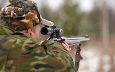 Is This the Solution? Robotic Deer Used More Often to Catch Poachers