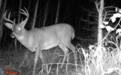 It Happens to All of Us