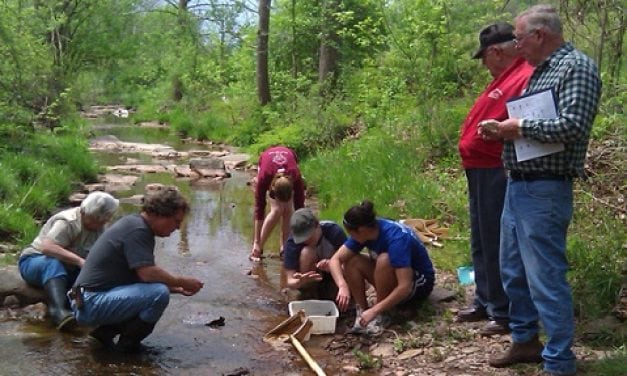 IWL Announces Clean Water Challenge to Monitor More Stream Sites